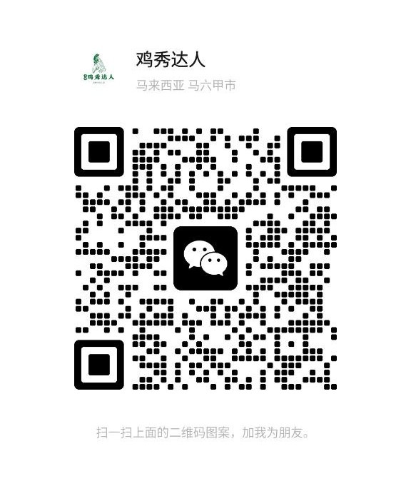 鸡秀达人66 - 旧古仔路/Kuchai Lama 吉隆坡下水 | 鸡隆坡官网 图10