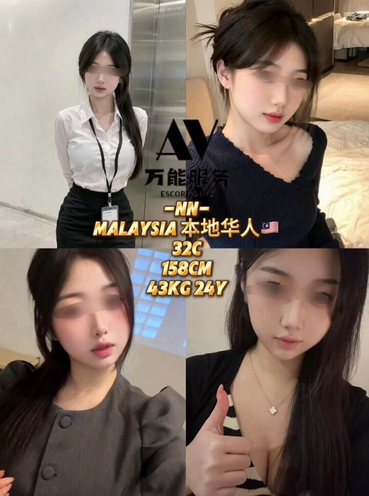 万能服务本地站 - 白沙罗柏达纳/Damansara Perdana 吉隆坡下水 | 鸡隆坡官网 图5