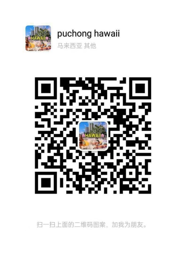 Hawaii - 蒲种/Puchong 吉隆坡下水 | 鸡隆坡官网 图16