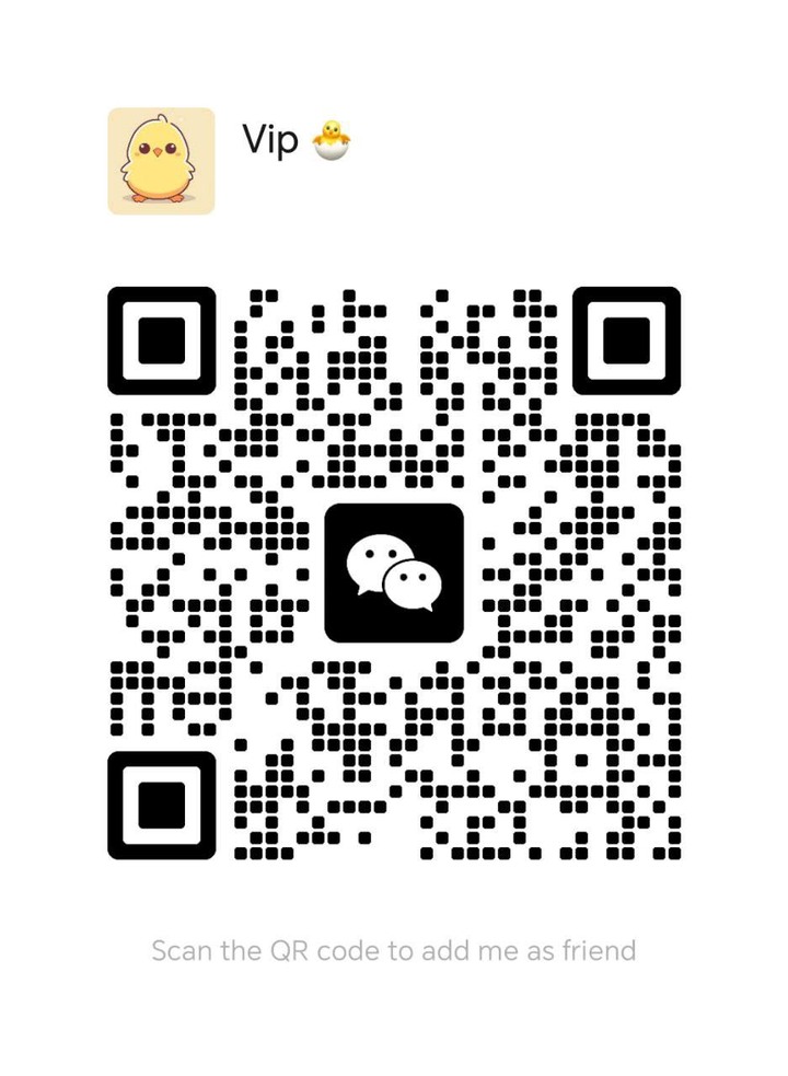 VIP Escort - 梳邦再也/Subang Jaya 吉隆坡下水 | 鸡隆坡官网 图2
